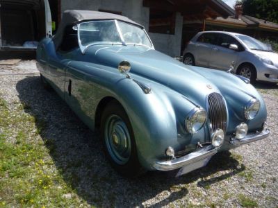jaguar-xk120-51