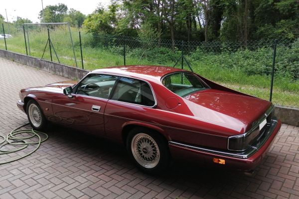 jaguar0119DB6D57-FF8A-835F-DA35-33181851FA81.jpg