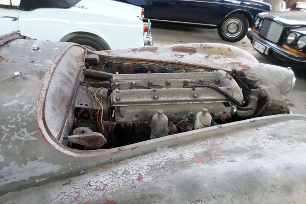 jaguar-xk-120-alllegra-109DE0F934-AB15-BCA5-E7FE-762261E46850.jpg